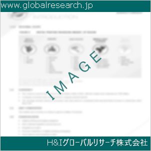 グローバルリサーチ調査資料のイメージ
